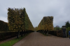 20191018_114913